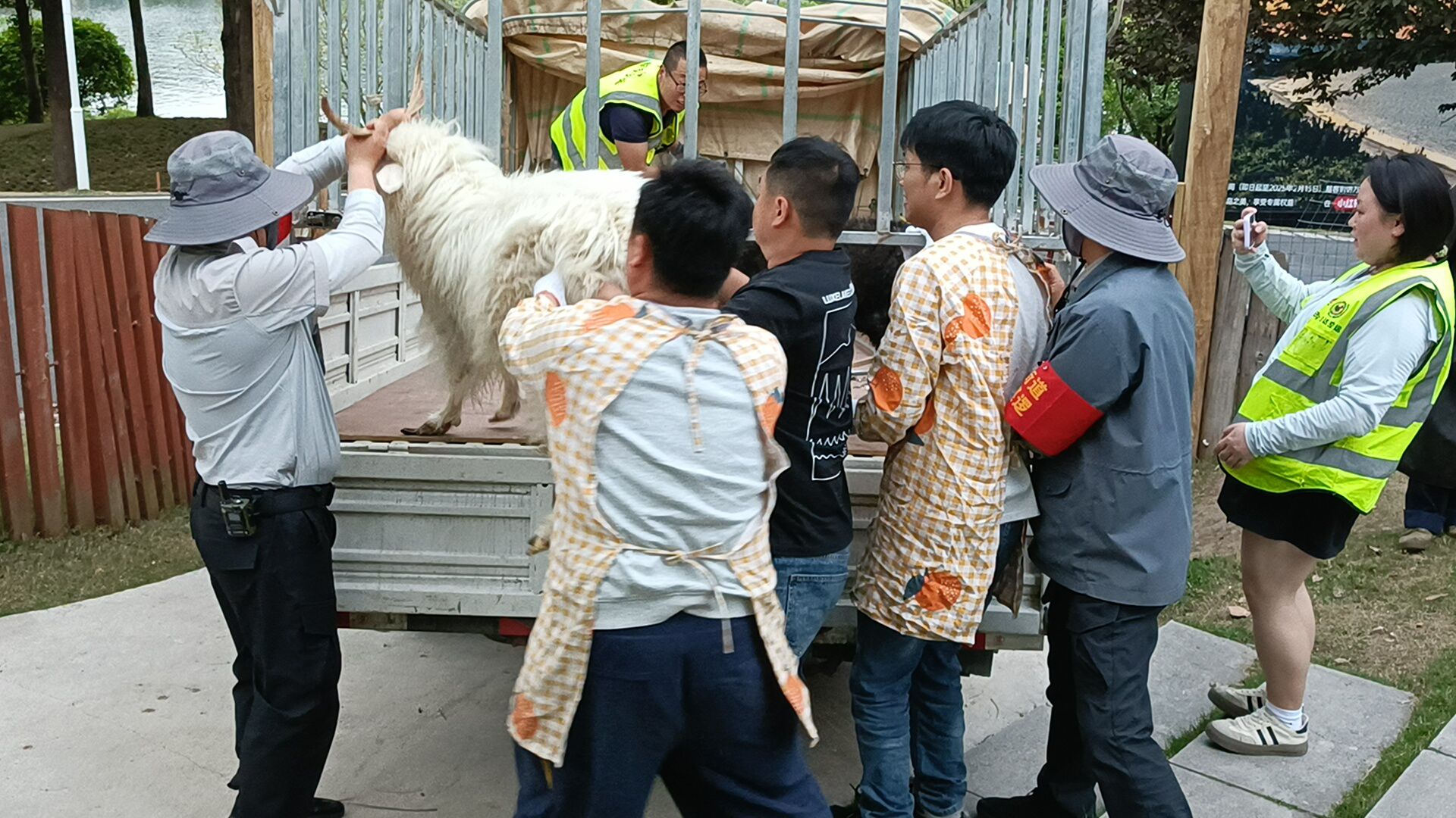 【成都麓客島——?jiǎng)游飳＼囘\(yùn)輸】